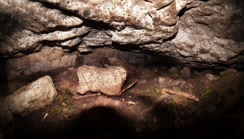 Eryrys Hill Cave 1